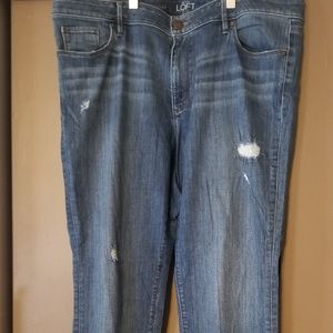 Loft curvy straight denim size tall